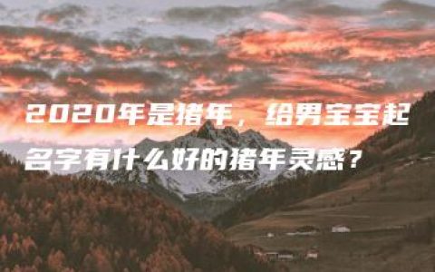 2020年是猪年，给男宝宝起名字有什么好的猪年灵感？