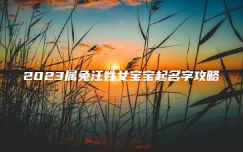 2023属兔汪姓女宝宝起名字攻略