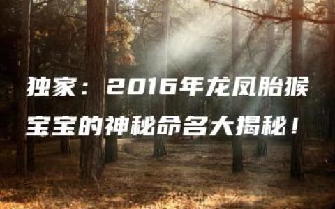 独家：2016年龙凤胎猴宝宝的神秘命名大揭秘！