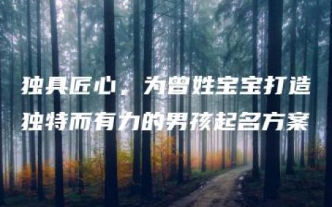 独具匠心，为曾姓宝宝打造独特而有力的男孩起名方案