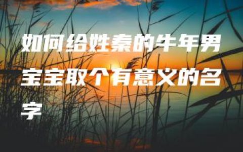 如何给姓秦的牛年男宝宝取个有意义的名字