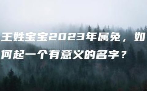 王姓宝宝2023年属兔，如何起一个有意义的名字？