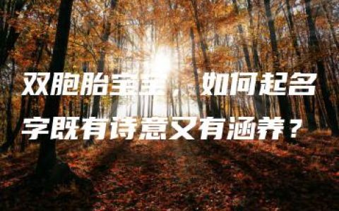 双胞胎宝宝，如何起名字既有诗意又有涵养？