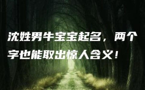 沈姓男牛宝宝起名，两个字也能取出惊人含义！