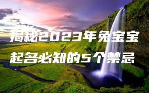 揭秘2023年兔宝宝起名必知的5个禁忌