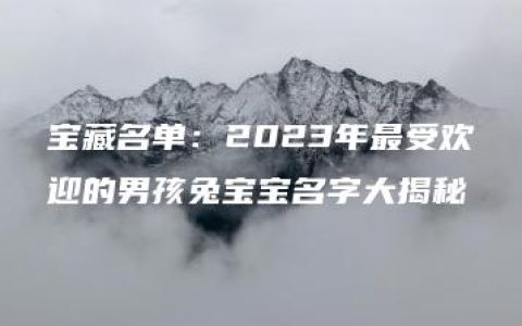 宝藏名单：2023年最受欢迎的男孩兔宝宝名字大揭秘