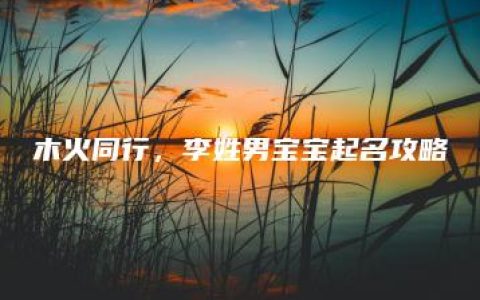 木火同行，李姓男宝宝起名攻略