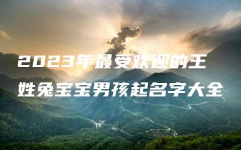 2023年最受欢迎的王姓兔宝宝男孩起名字大全