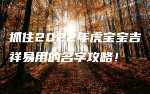 抓住2022年虎宝宝吉祥易用的名字攻略！