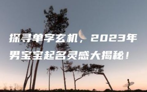 探寻单字玄机，2023年男宝宝起名灵感大揭秘！