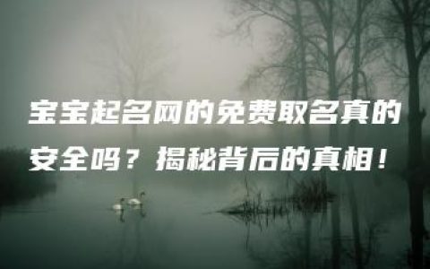 宝宝起名网的免费取名真的安全吗？揭秘背后的真相！