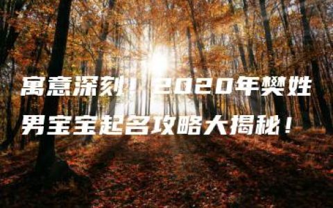 寓意深刻！2020年樊姓男宝宝起名攻略大揭秘！