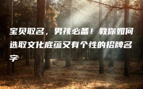 宝贝取名，男孩必备！教你如何选取文化底蕴又有个性的招牌名字