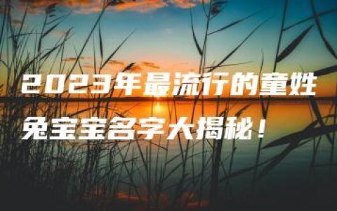 2023年最流行的童姓兔宝宝名字大揭秘！