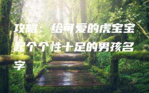 攻略：给可爱的虎宝宝起个个性十足的男孩名字