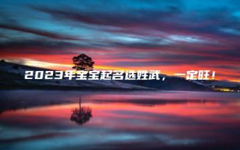 2023年宝宝起名选姓武，一定旺！