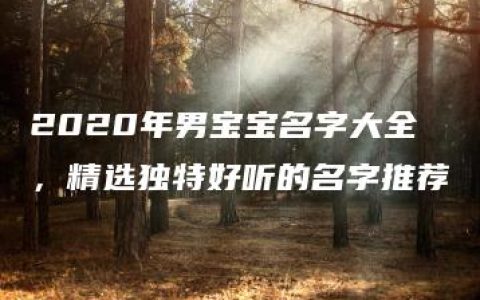 2020年男宝宝名字大全，精选独特好听的名字推荐