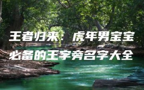 王者归来：虎年男宝宝必备的王字旁名字大全