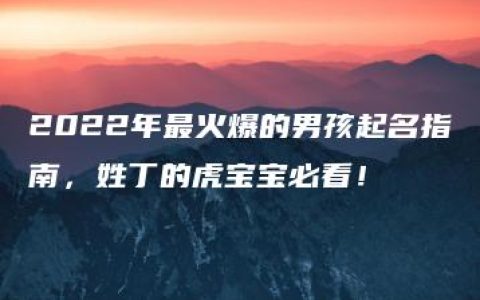 2022年最火爆的男孩起名指南，姓丁的虎宝宝必看！