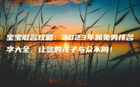 宝宝取名攻略：2023年属兔男孩名字大全，让您的孩子与众不同！