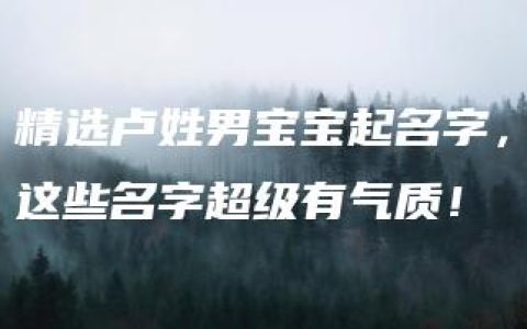 精选卢姓男宝宝起名字，这些名字超级有气质！