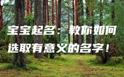 宝宝起名：教你如何选取有意义的名字！