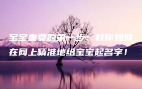 宝宝重要的第一步：教你如何在网上精准地给宝宝起名字！