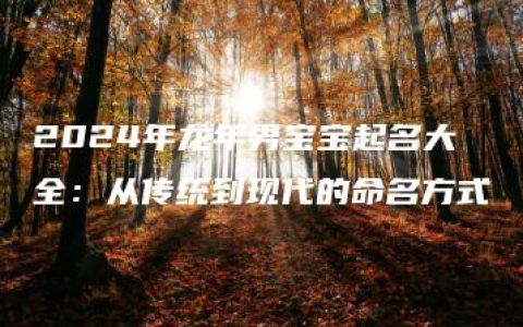 2024年龙年男宝宝起名大全：从传统到现代的命名方式