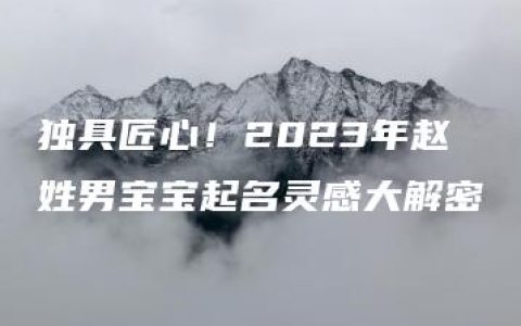 独具匠心！2023年赵姓男宝宝起名灵感大解密