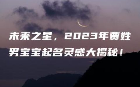 未来之星，2023年贾姓男宝宝起名灵感大揭秘！