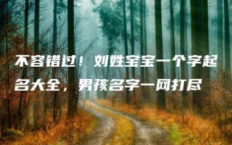 不容错过！刘姓宝宝一个字起名大全，男孩名字一网打尽