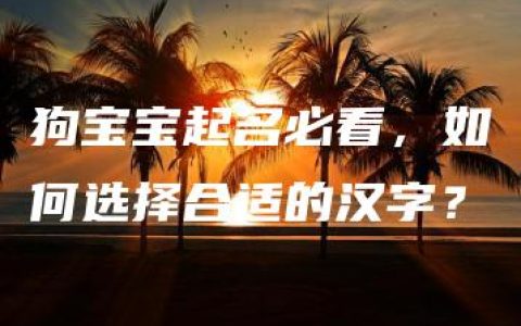 狗宝宝起名必看，如何选择合适的汉字？