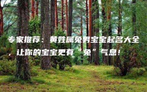 专家推荐：黄姓属兔男宝宝起名大全，让你的宝宝更有“兔”气息！