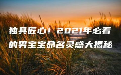 独具匠心！2021年必看的男宝宝命名灵感大揭秘