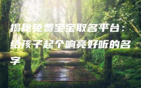 揭秘免费宝宝取名平台：给孩子起个响亮好听的名字