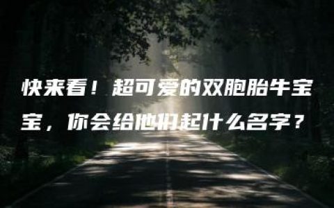 快来看！超可爱的双胞胎牛宝宝，你会给他们起什么名字？