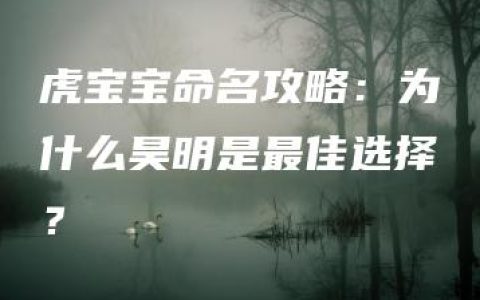 虎宝宝命名攻略：为什么昊明是最佳选择？