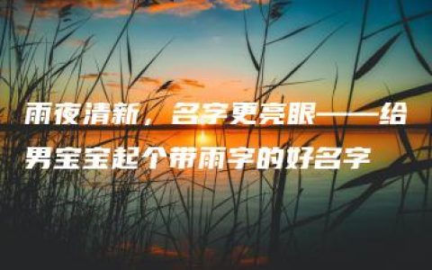 雨夜清新，名字更亮眼——给男宝宝起个带雨字的好名字