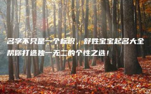 名字不只是一个标识，舒姓宝宝起名大全帮你打造独一无二的个性之选！