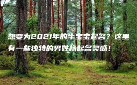 想要为2021年的牛宝宝起名？这里有一些独特的男姓杨起名灵感！