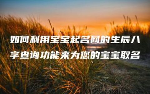 如何利用宝宝起名网的生辰八字查询功能来为您的宝宝取名