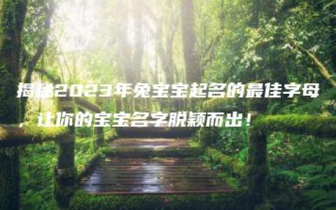 揭秘2023年兔宝宝起名的最佳字母，让你的宝宝名字脱颖而出！