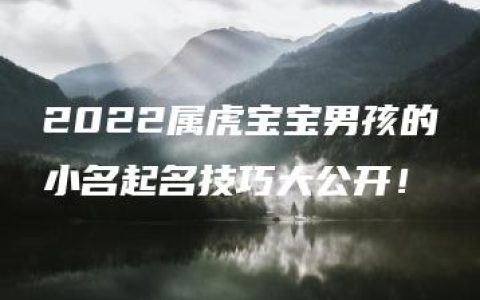 2022属虎宝宝男孩的小名起名技巧大公开！