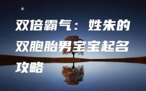 双倍霸气：姓朱的双胞胎男宝宝起名攻略