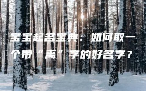 宝宝起名宝典：如何取一个带“禹”字的好名字？