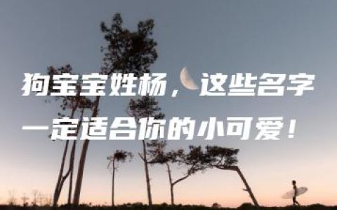 狗宝宝姓杨，这些名字一定适合你的小可爱！