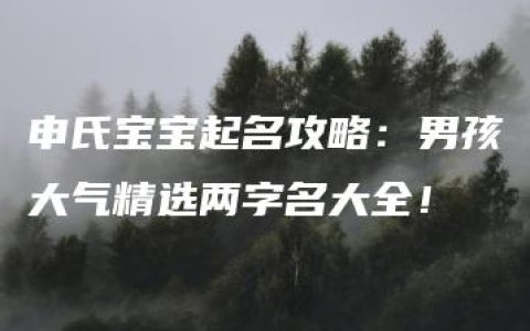 申氏宝宝起名攻略：男孩大气精选两字名大全！