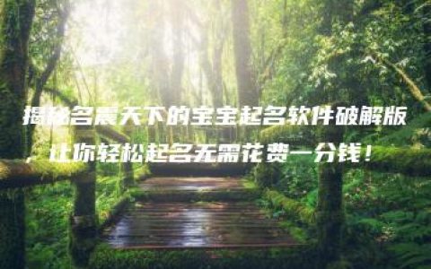 揭秘名震天下的宝宝起名软件破解版，让你轻松起名无需花费一分钱！