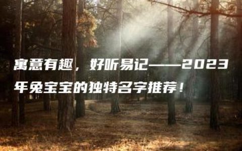 寓意有趣，好听易记——2023年兔宝宝的独特名字推荐！