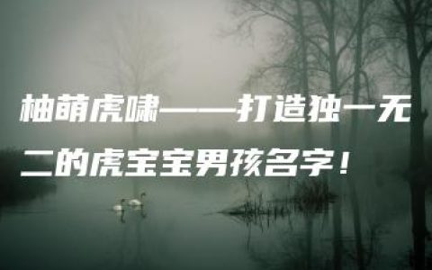 柚萌虎啸——打造独一无二的虎宝宝男孩名字！